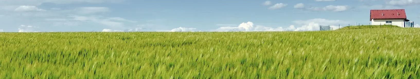 Banner background